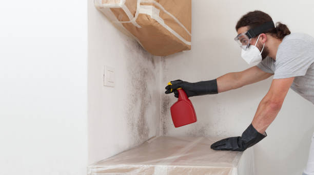 Professional Bathroom Mold Removal technician working in Hartfield, VA