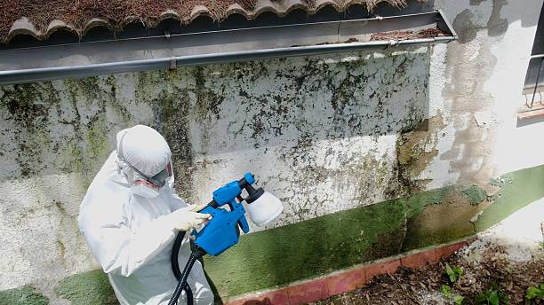 Top rated local Bathroom Mold Removal specialists in Hartfield, VA